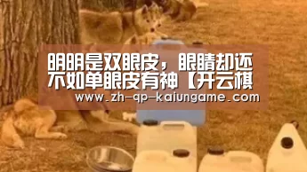 明明是双眼皮,眼睛却还不如单眼皮有神【开云棋牌下载】(图4) 开云棋牌下载