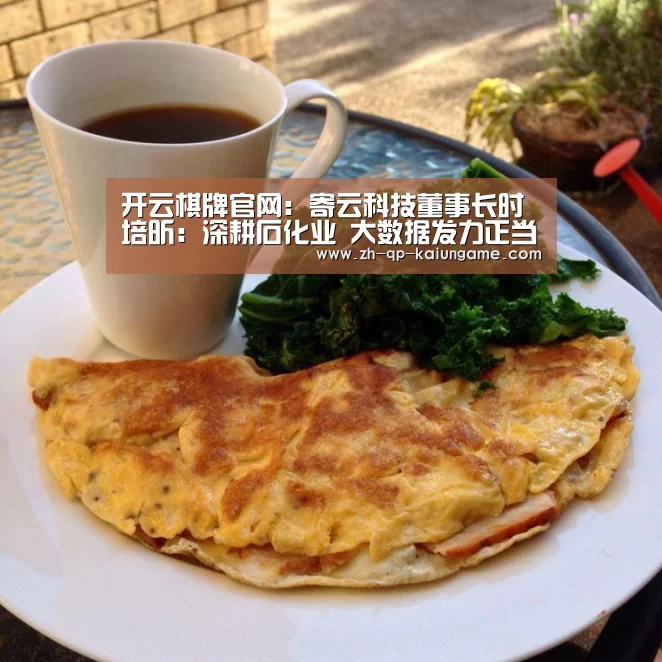 开云棋牌官网:寄云科技董事长时培昕:深耕石化业 大数据发力正当时(图4) 开云棋牌入口