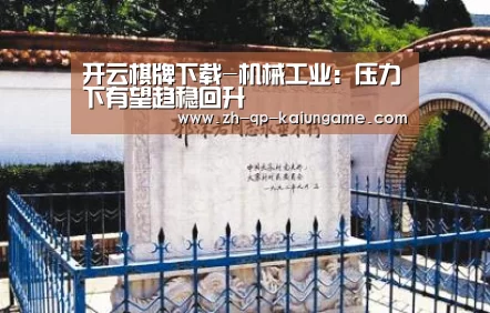 开云棋牌入口
