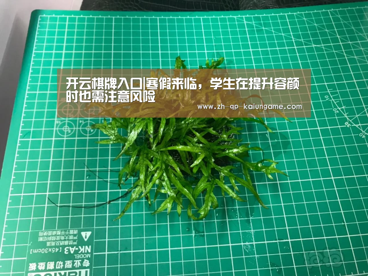 开云棋牌入口|寒假来临,学生在提升容颜时也需注意风险(图3) 开云棋牌官方下载